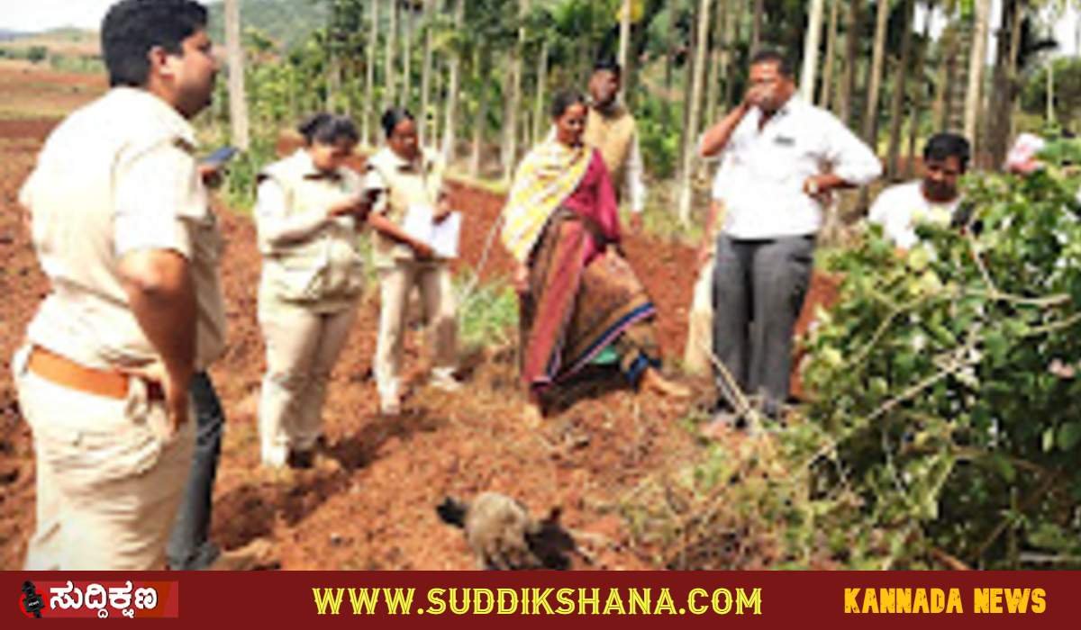 ನವಿಲು