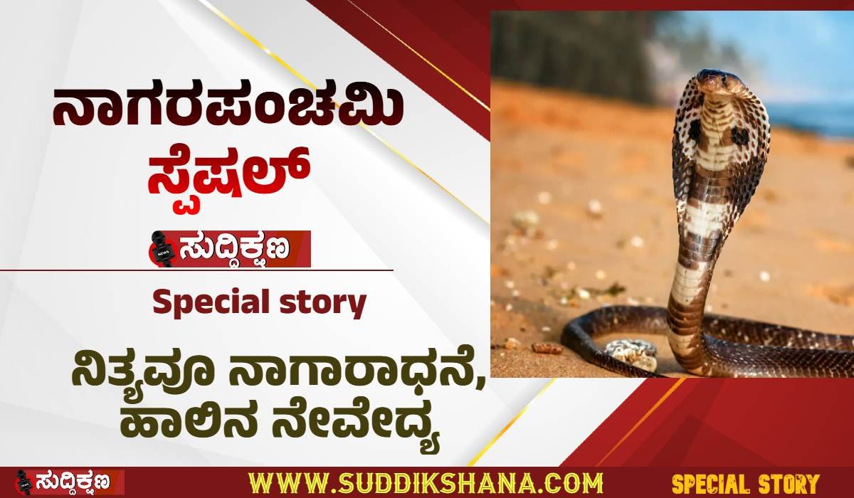 ನಾಗರಹಾವು