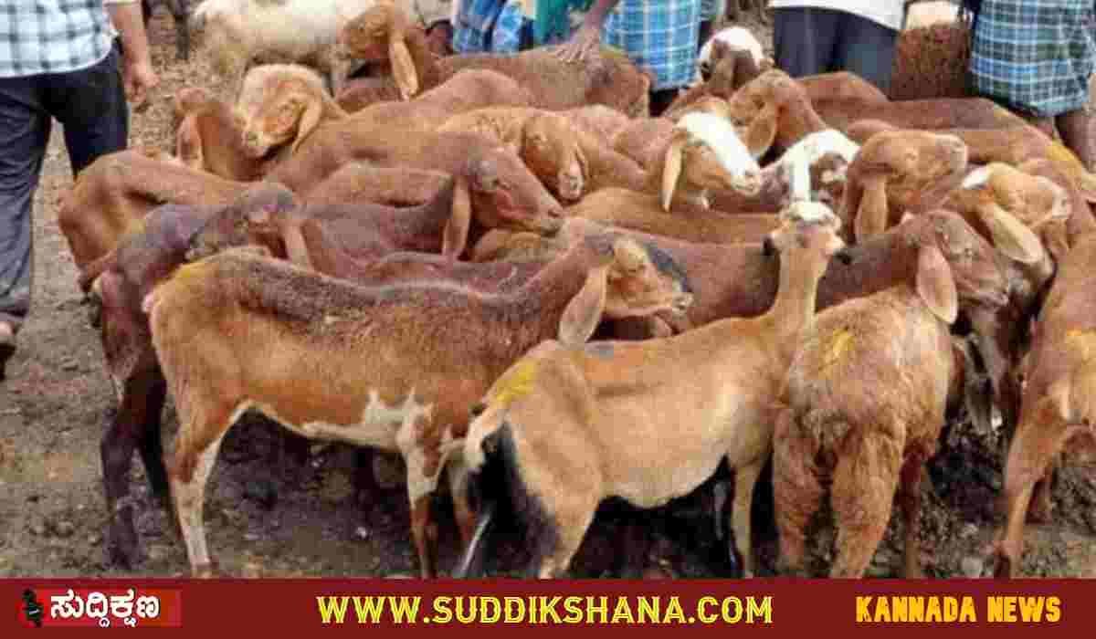 ಅರ್ಜಿ