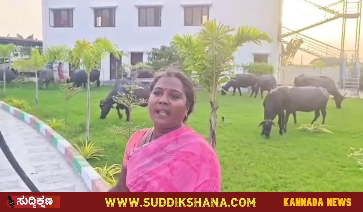 ಎಮ್ಮೆ