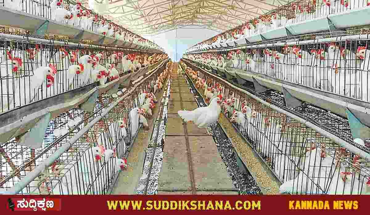 ಕೋಳಿ