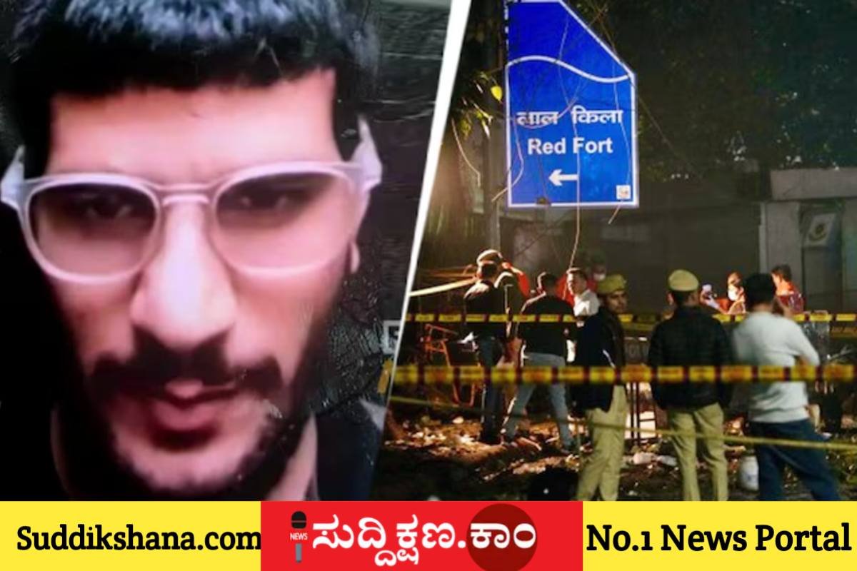 ವಿಧ್ವಂಸಕ