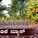 ದಾವಣಗೆರೆ