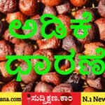 ಅಡಿಕೆ