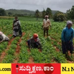 ದಾವಣಗೆರೆ