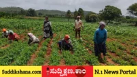 ದಾವಣಗೆರೆ