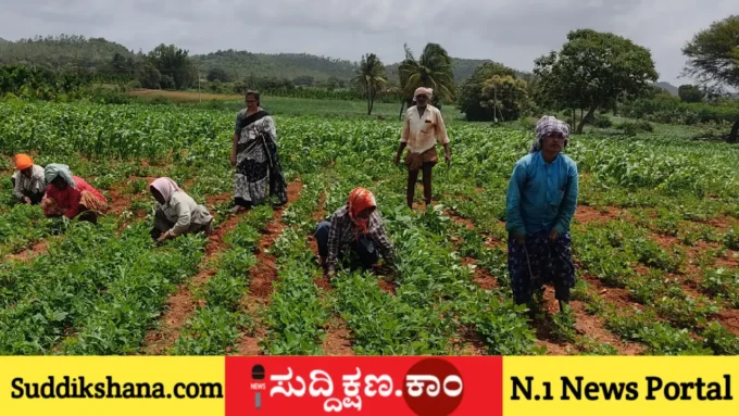 ದಾವಣಗೆರೆ