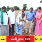 ಬೆಳೆ