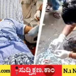 ಫೈಸಲ್ ಖಾನ್‌