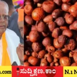 ಅಡಿಕೆ