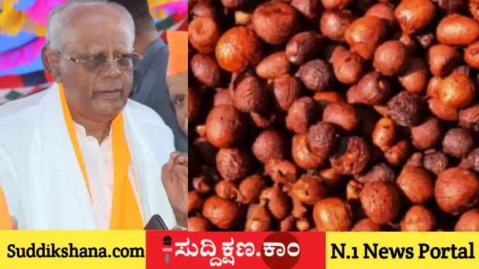 ಅಡಿಕೆ