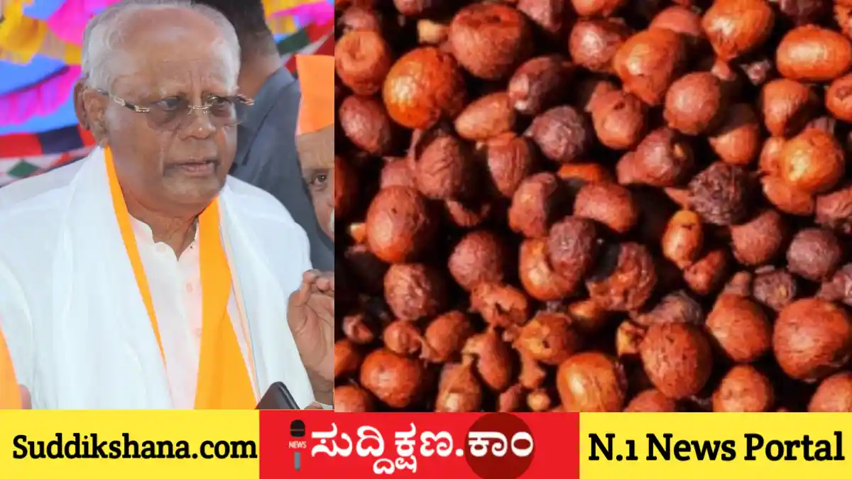 ಅಡಿಕೆ