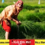 ಕೃಷಿ
