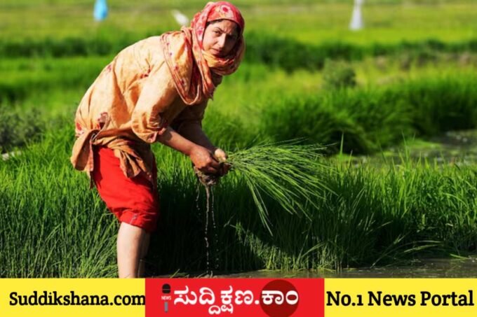 ಕೃಷಿ