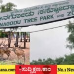 ದಾವಣಗೆರೆ