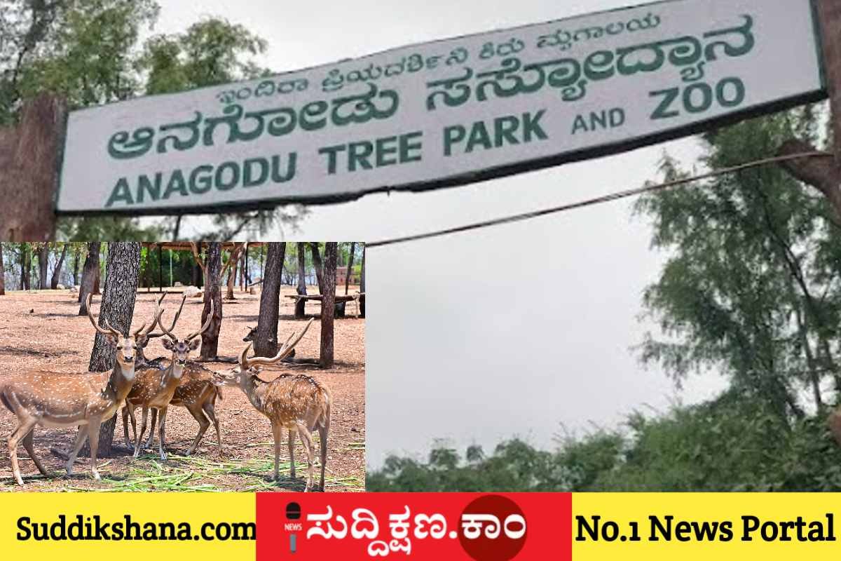 ದಾವಣಗೆರೆ