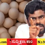 ಕೆ. ಅಣ್ಣಾಮಲೈ