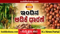 ಅಡಿಕೆ