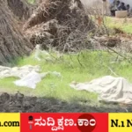 ಅವಳಿ