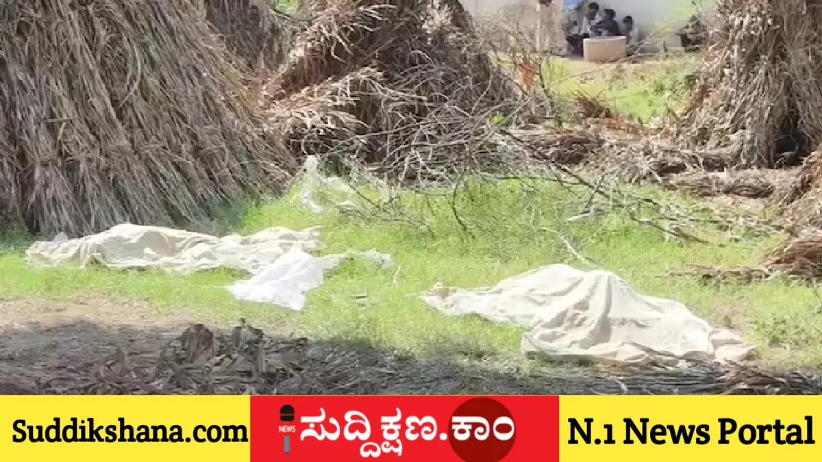 ಅವಳಿ