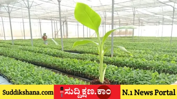 ದಾವಣಗೆರೆ