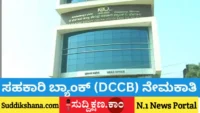 DCC Bank