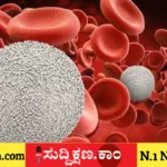 ರಕ್ತಹೀನತೆ