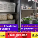 ರಾಯಲ್ ಚೀನಾ