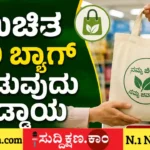 ಕ್ಯಾರಿ ಬ್ಯಾಗ್‌