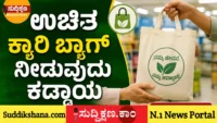 ಕ್ಯಾರಿ ಬ್ಯಾಗ್‌