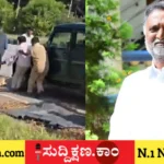 ಚಿರತೆ