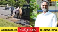 ಚಿರತೆ