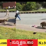 ದಾವಣಗೆರೆ