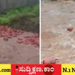ಸಿಲಿಂಡರ್‌