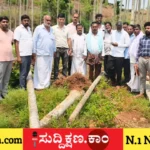 ಮಳೆ