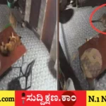 ಚಿರತೆ