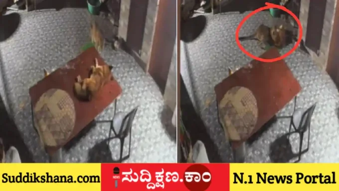 ಚಿರತೆ