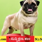 ವಿವಾಹ