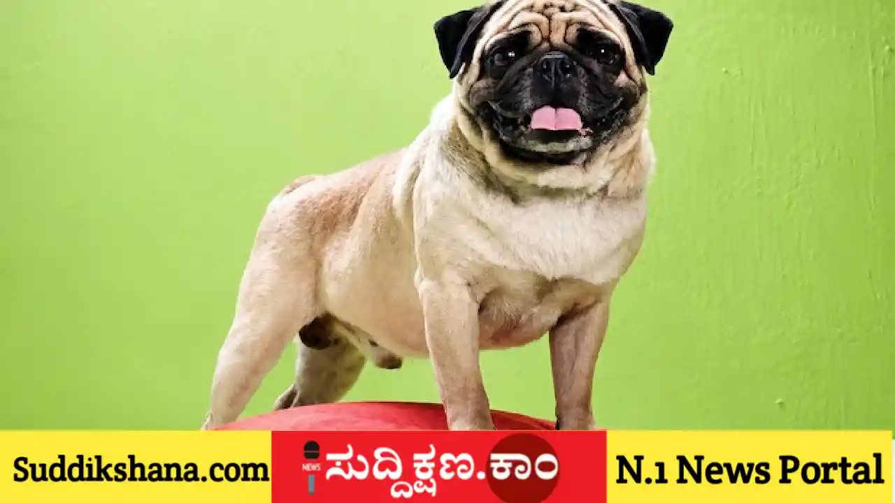 ವಿವಾಹ