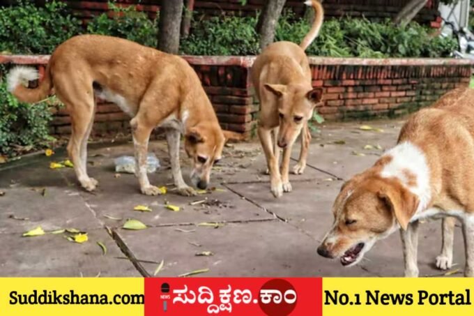 ಬೀದಿನಾಯಿ