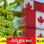 ರಫ್ತು