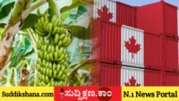 ರಫ್ತು
