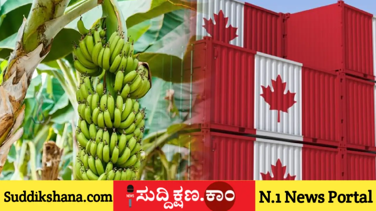 ರಫ್ತು
