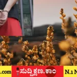 ಅರ್ಚಕ