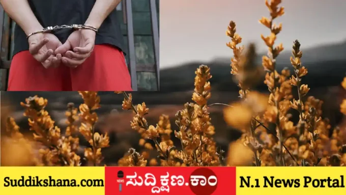 ಅರ್ಚಕ