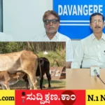 ಗೋವು