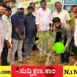 ಸಸಿ