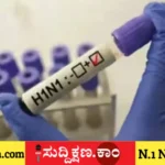 ಹೆಚ್1ಎನ್1