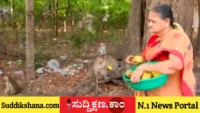 ಕೋತಿ