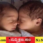 IVF